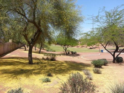 1122 E Annette Dr, Phoenix, AZ 85022 photo 30