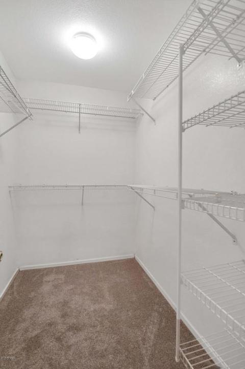3026 E Captain Dreyfus Ave, Phoenix, AZ 85032 photo 13