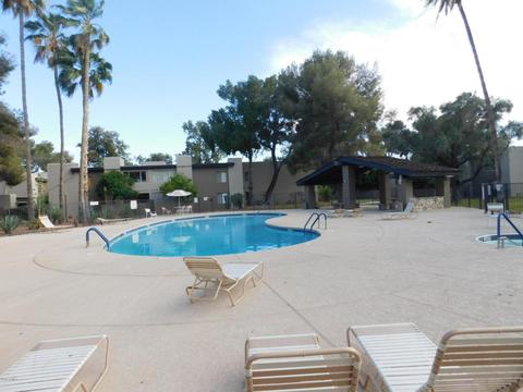 4201 E Camelback Rd #105, Phoenix, AZ 85018 photo 3