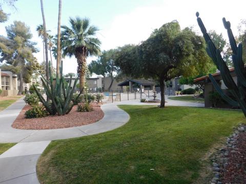 4201 E Camelback Rd #105, Phoenix, AZ 85018 photo 2