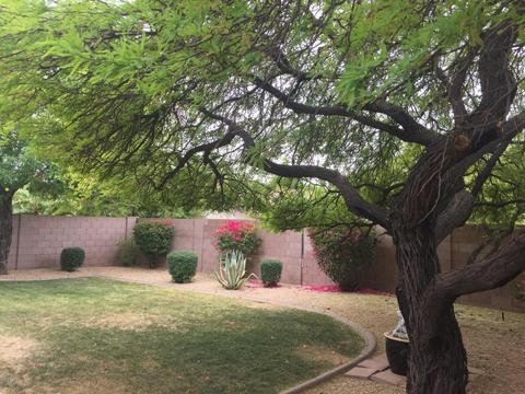 2505 E Paraiso Dr, Phoenix, AZ 85024 photo 15
