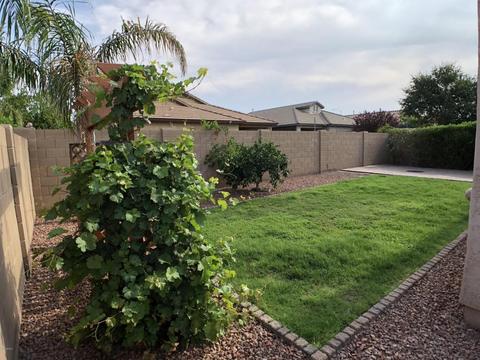 10866 E Bella Via, Mesa, AZ 85212 photo 34