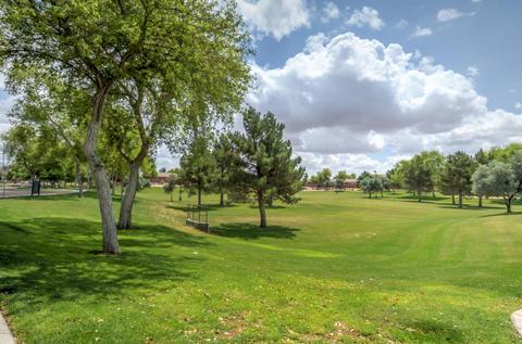 10426 E Knowles Ave, Mesa, AZ 85209 photo 52