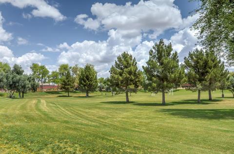 10426 E Knowles Ave, Mesa, AZ 85209 photo 57