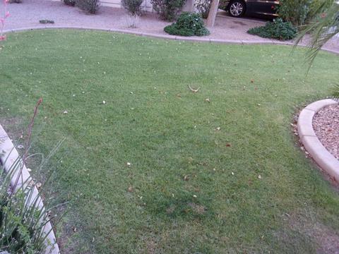 9119 E Posada Ave, Mesa, AZ 85212 photo 55