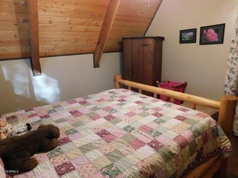 2134 S Woods Dr, Overgaard, AZ 85933 photo 26