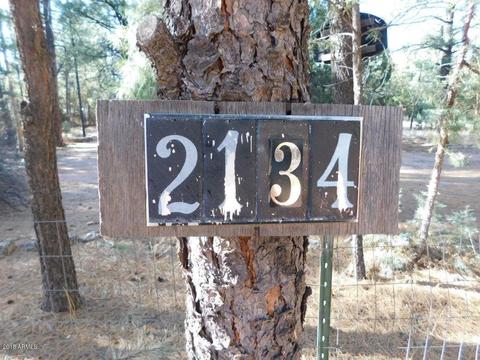 2134 S Woods Dr, Overgaard, AZ 85933 photo 4