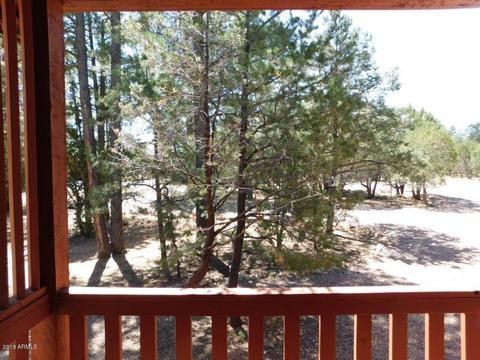2968 Monica Cir, Overgaard, AZ 85933 photo 11