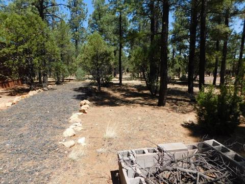 2968 Monica Cir, Overgaard, AZ 85933 photo 8