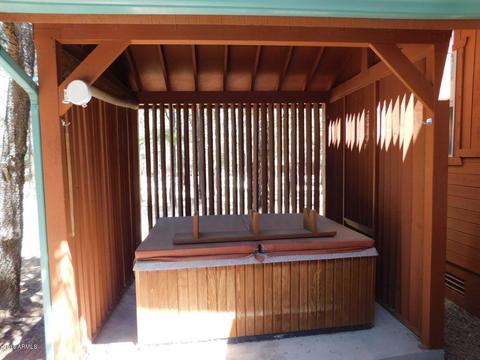 2968 Monica Cir, Overgaard, AZ 85933 photo 6