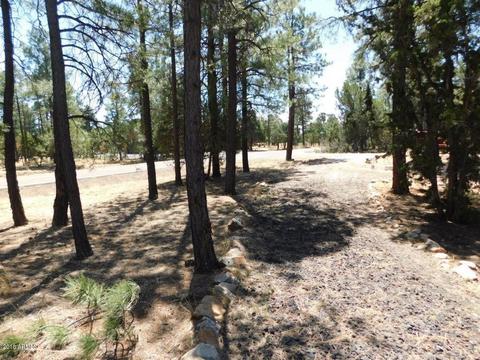 2968 Monica Cir, Overgaard, AZ 85933 photo 10