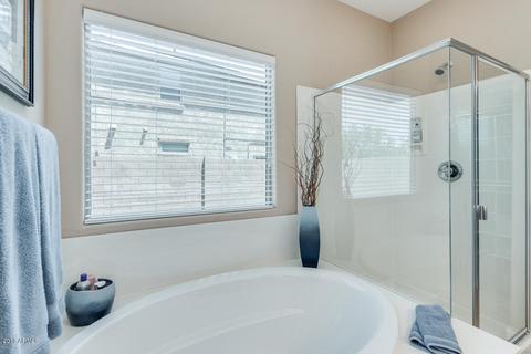 11002 E Ravenna Cir, Mesa, AZ 85212 photo 29