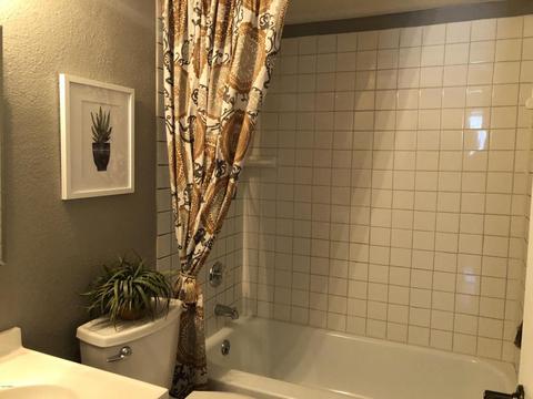 249 E Auburn Dr, Tempe, AZ 85283 photo 22