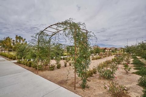 5125 E Grandview St, Mesa, AZ 85205 photo 26