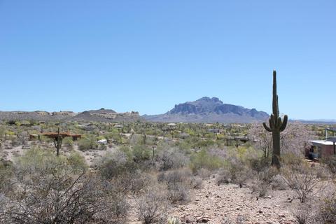 5455 N Idaho Rd, Apache Junction, AZ 85119 photo 4