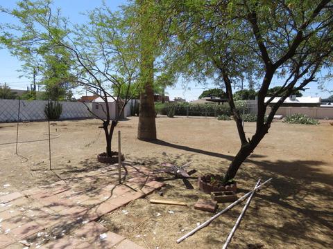 31 W Eva St, Phoenix, AZ 85021 photo 16