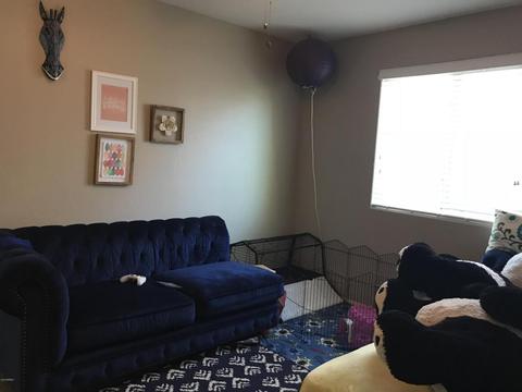 4079 E Oakland St, Gilbert, AZ 85295 photo 19