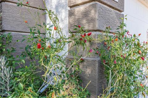 1824 E Chilton Dr, Tempe, AZ 85283 photo 31
