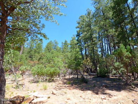 5161 N Naco --, Pine, AZ 85544 photo 29