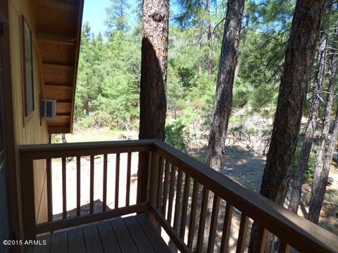 5161 N Naco --, Pine, AZ 85544 photo 20