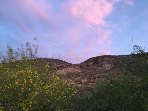 1409 W Aster Dr, Phoenix, AZ 85029 photo 84
