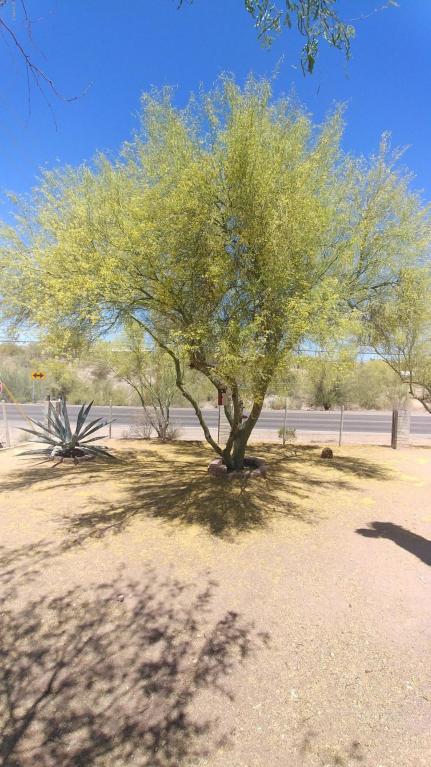4615 E Superstition Blvd, Apache Junction, AZ 85119 photo 25