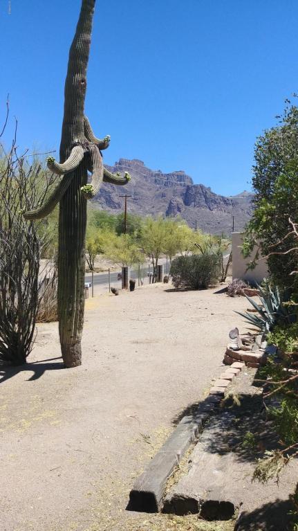 4615 E Superstition Blvd, Apache Junction, AZ 85119 photo 24