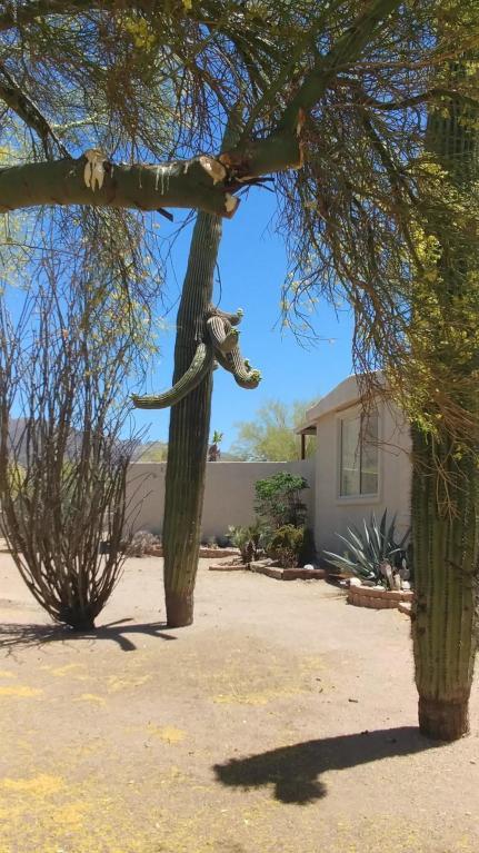 4615 E Superstition Blvd, Apache Junction, AZ 85119 photo 27