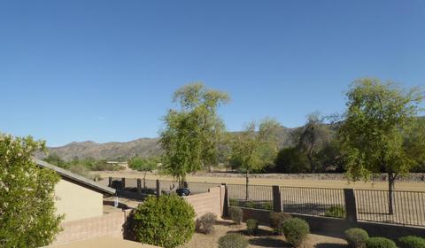 917 E Gary Ln, Phoenix, AZ 85042 photo 21