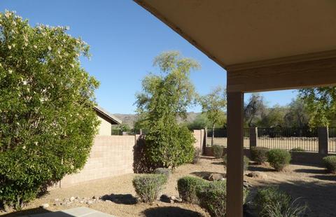 917 E Gary Ln, Phoenix, AZ 85042 photo 17