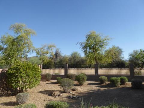 917 E Gary Ln, Phoenix, AZ 85042 photo 24