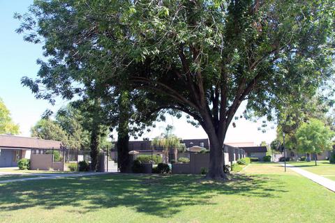 1633 E Baker Dr, Tempe, AZ 85282 photo 24