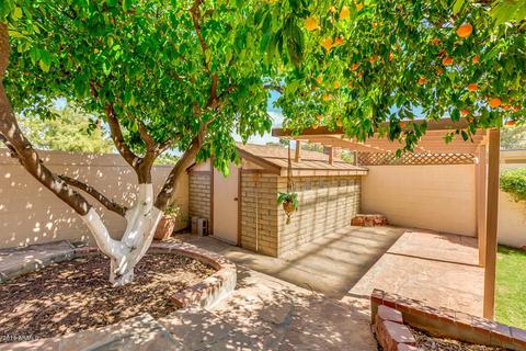 3627 E Bloomfield Rd, Phoenix, AZ 85032 photo 43