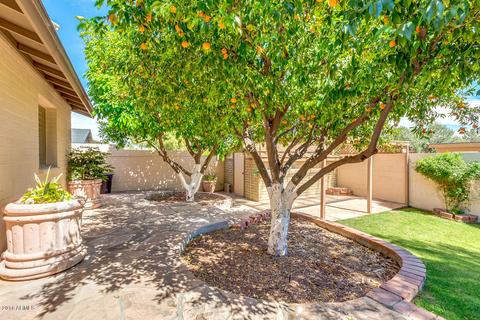 3627 E Bloomfield Rd, Phoenix, AZ 85032 photo 42