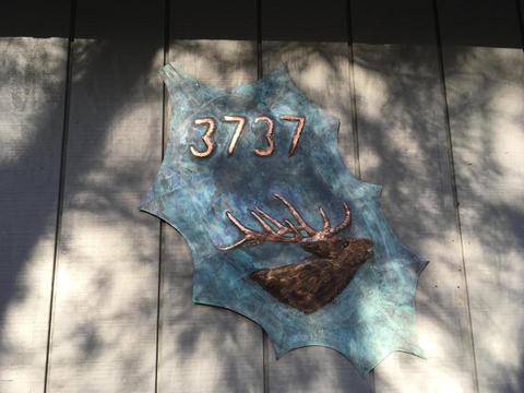 3737 N Mohawk St, Pine, AZ 85544 photo 3