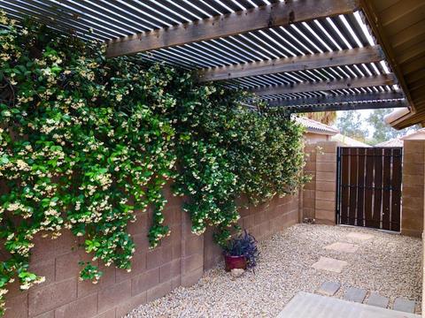2236 E Morrow Dr, Phoenix, AZ 85024 photo 17