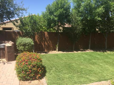 4577 E Waterman St, Gilbert, AZ 85297 photo 31
