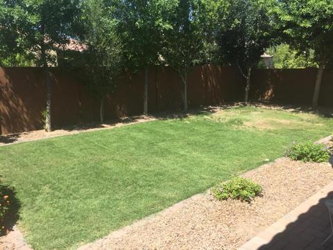 4577 E Waterman St, Gilbert, AZ 85297 photo 33
