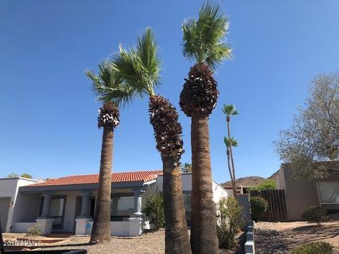 2607 E Claire Dr, Phoenix, AZ 85032 photo 2