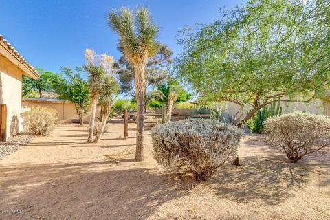 501 E Blue Eagle Ln, Phoenix, AZ 85086 photo 2