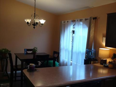 9807 E Olla Ave, Mesa, AZ 85212 photo 7