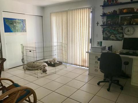 5448 E Virginia Ave, Phoenix, AZ 85008 photo 6