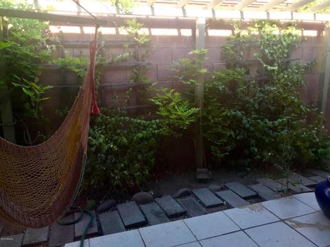 5448 E Virginia Ave, Phoenix, AZ 85008 photo 7