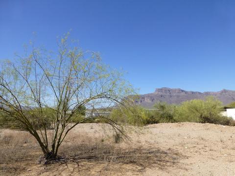 5690 E 34th Ave, Apache Junction, AZ 85119 photo 31
