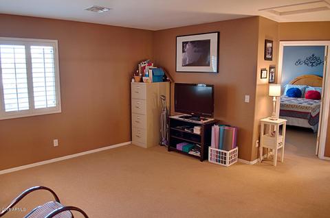 9706 E Impala Ave, Mesa, AZ 85209 photo 43
