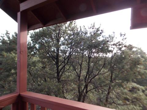 2967 Lodgepole Ln, Overgaard, AZ 85933 photo 33