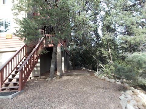 2967 Lodgepole Ln, Overgaard, AZ 85933 photo 51