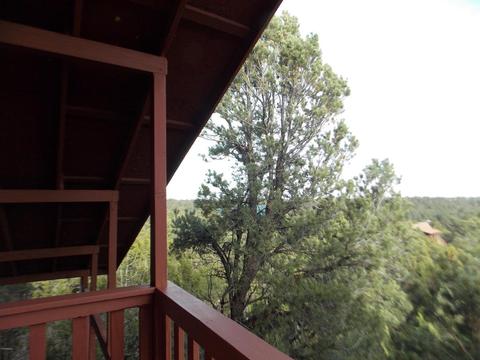 2967 Lodgepole Ln, Overgaard, AZ 85933 photo 31