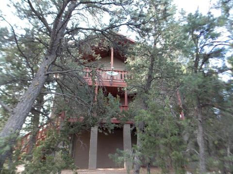 2967 Lodgepole Ln, Overgaard, AZ 85933 photo 1