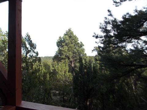 2967 Lodgepole Ln, Overgaard, AZ 85933 photo 55